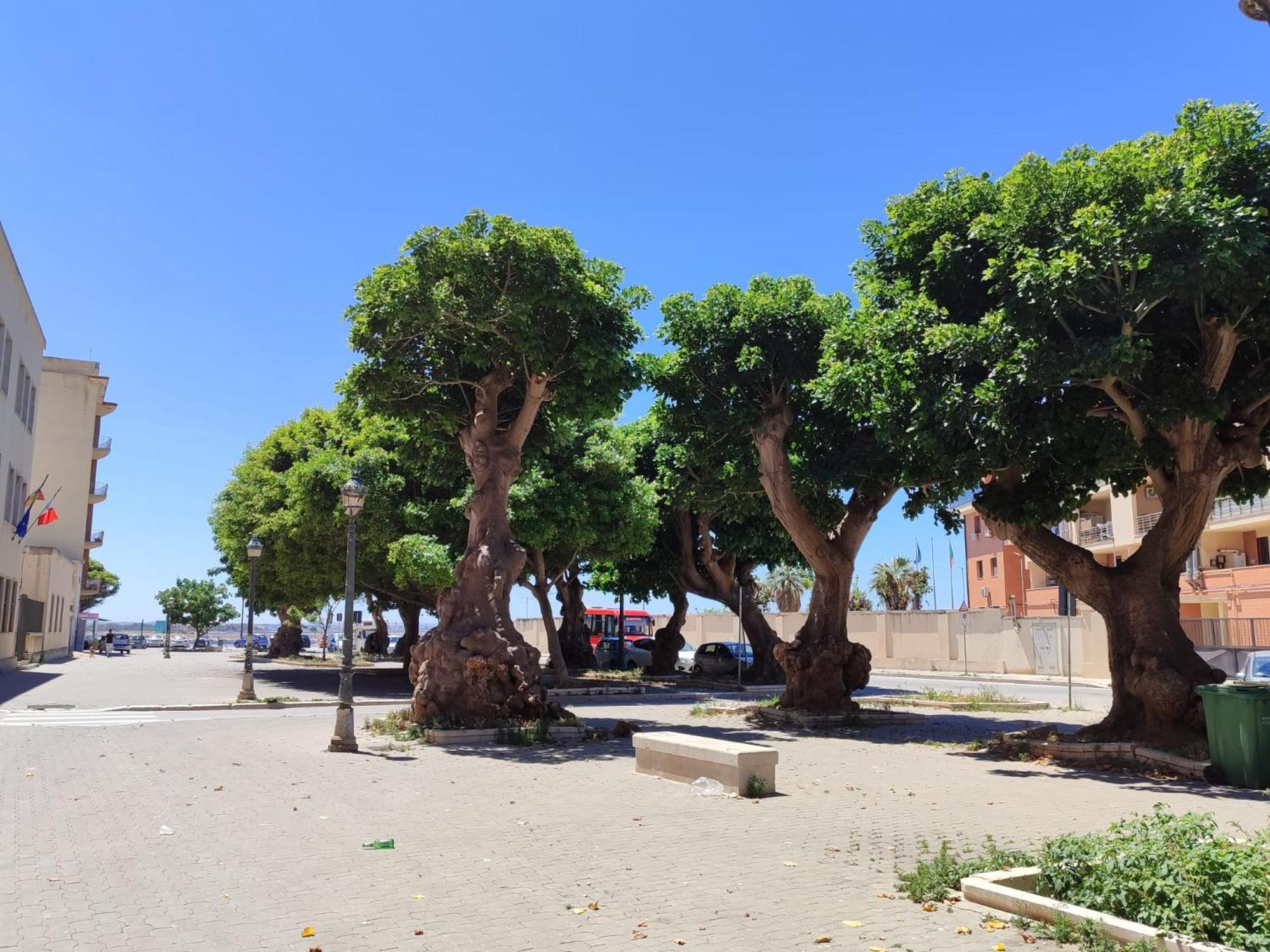 Alla Marina Da Pina Трапани Екстериор снимка